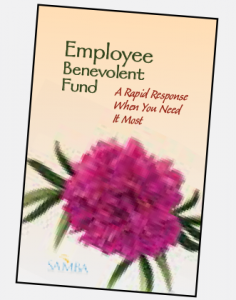 TheSamba.com :: Volkswagen Classifieds, photos, shows, forums, and information visual data 2